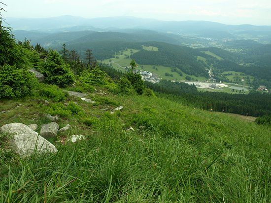 Kaniówka